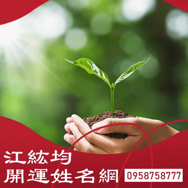 開店名字