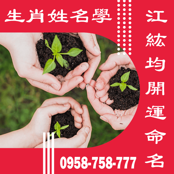 2020名字