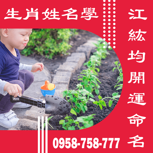 男嬰兒命名